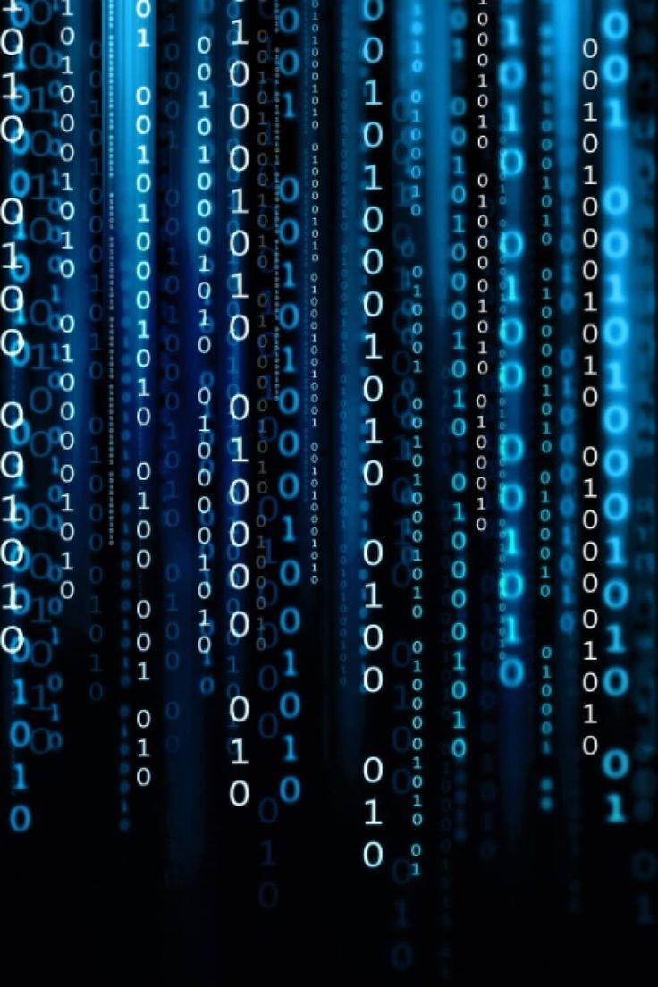 Web app development workspace